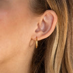 Classic Hoop Earrings-Earrings-Aureza